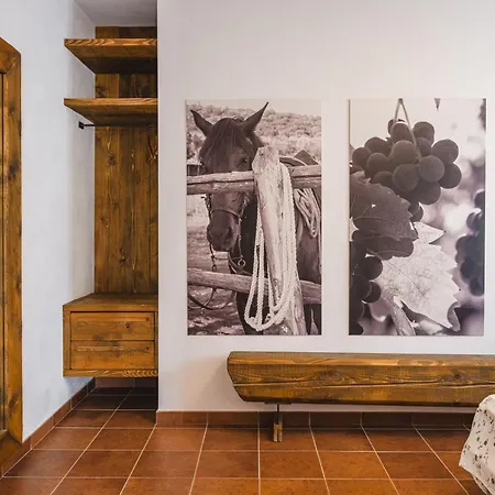 Bio Corte Degli Ulivi Alojamento de Turismo Rural Grosseto